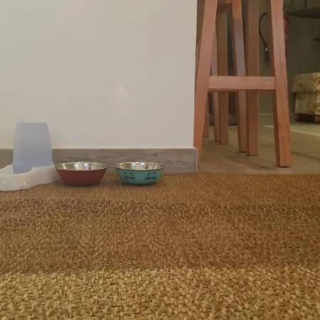 Apartment Miau - Pet Friendly