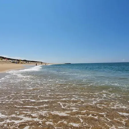 Miau - Pet Friendly Praia de Mira