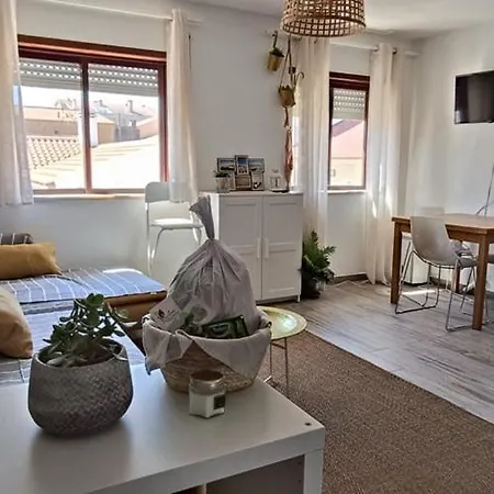 Miau - Pet Friendly Apartment Praia de Mira